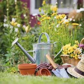 Gardening Intel: Selina Jammy